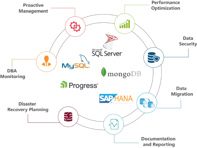 database-support-services